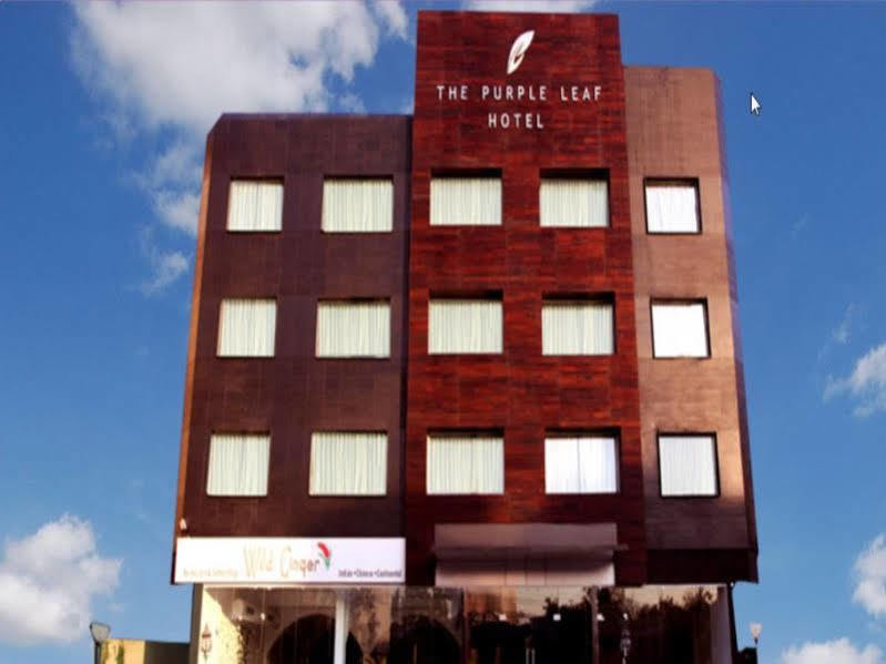 The Purple Leaf Hotels Хидерабад Екстериор снимка